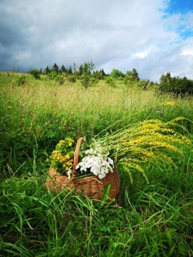 Ubytovanie Pod Homolkou Jamnik  ภายนอก รูปภาพ